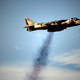 Illustration for article titled The Eeriness of Viffing a Harrier